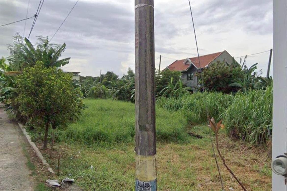 Land for Sale in Biñang 2nd, Bocaue, Bulacan – photo 4