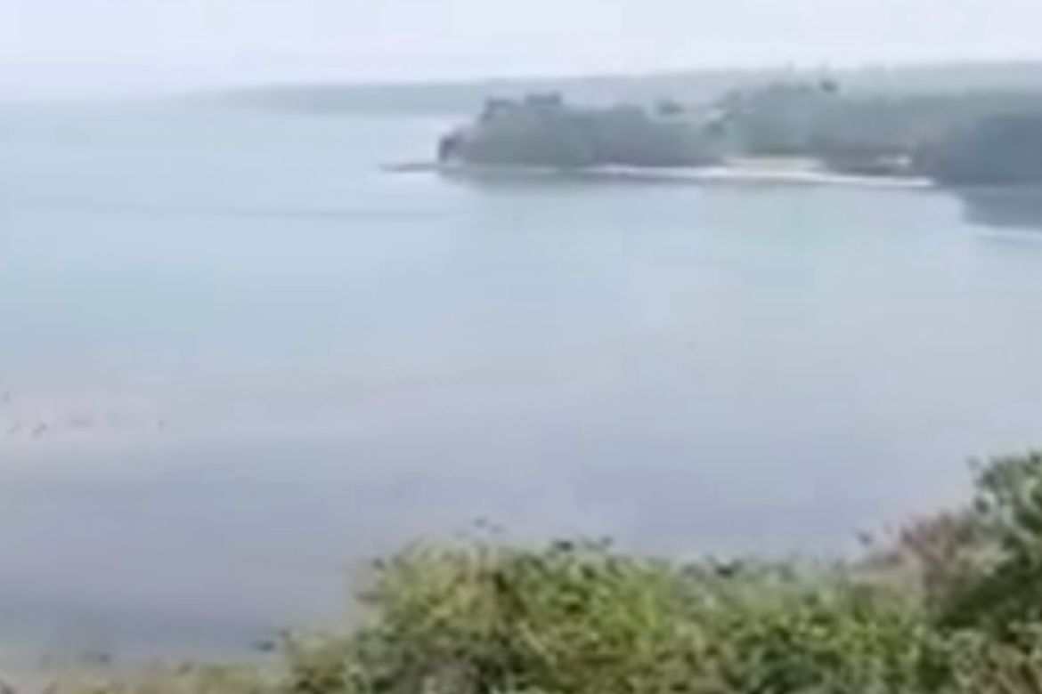 Land for Sale in Binaritan, Morong, Bataan – photo 4