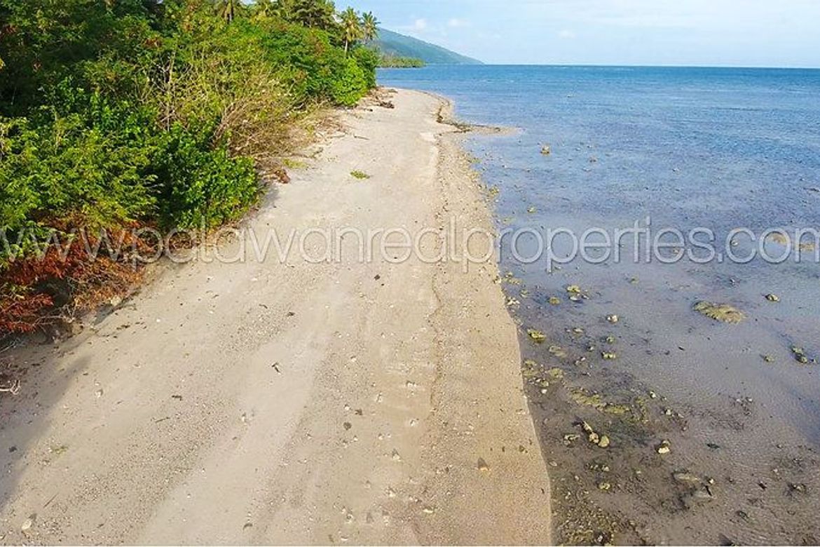 Land for Sale in Binduyan, Puerto Princesa, Palawan