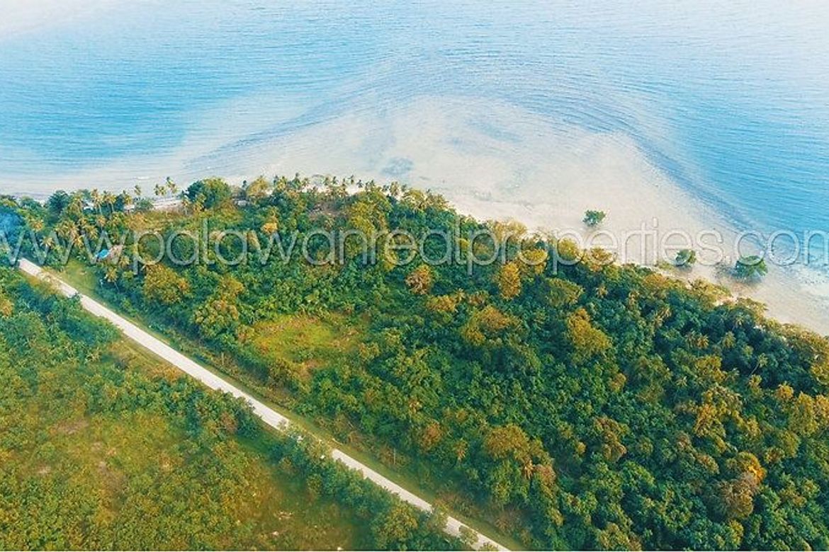 Land for Sale in Binduyan, Puerto Princesa, Palawan – photo 2