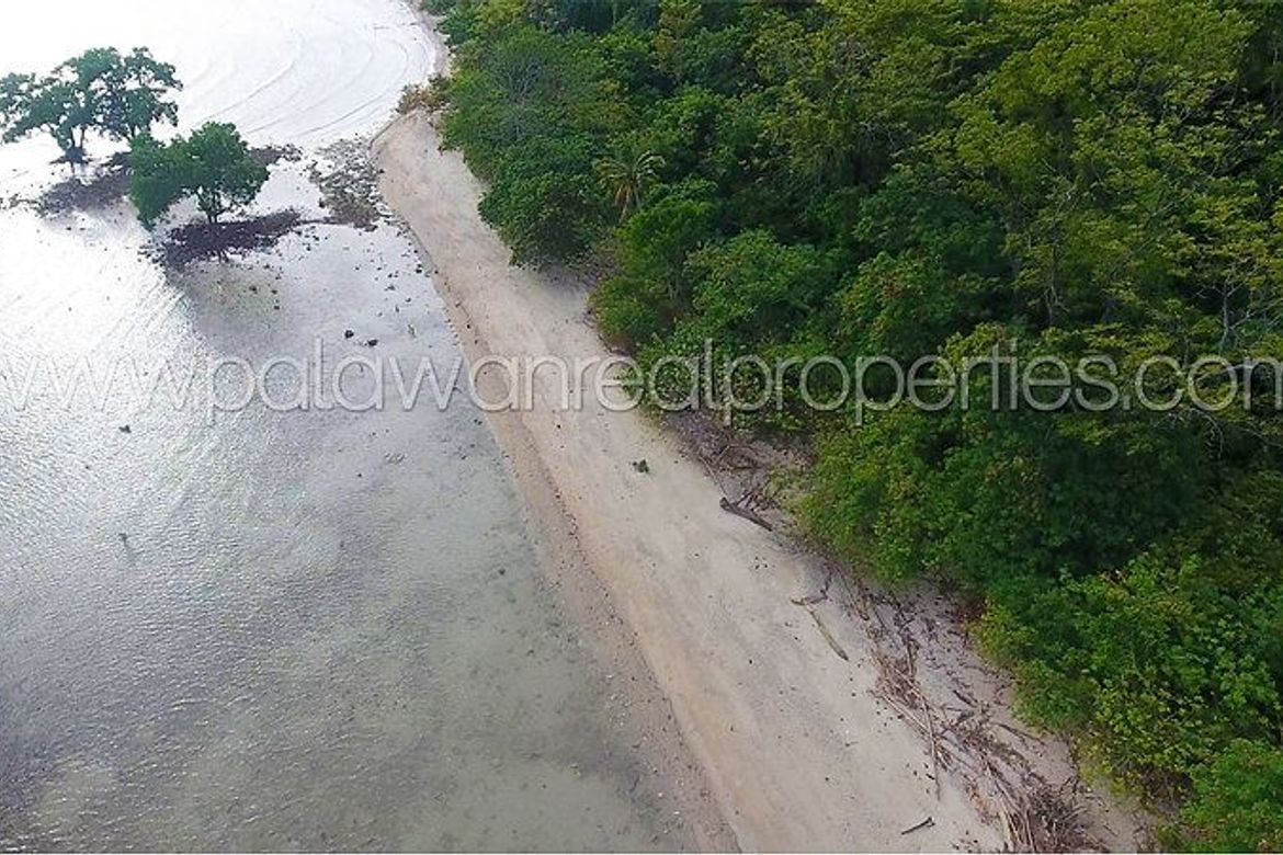 Land for Sale in Binduyan, Puerto Princesa, Palawan – photo 4