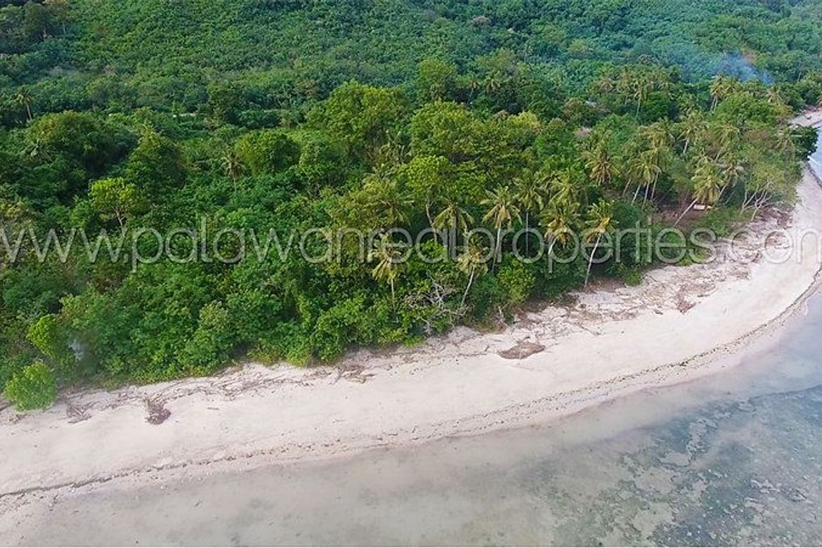 Land for Sale in Binduyan, Puerto Princesa, Palawan – photo 5