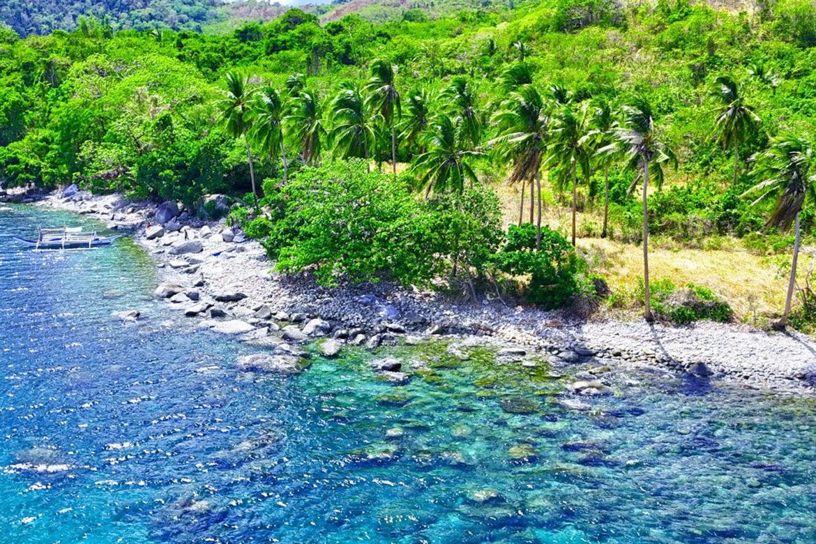 Land for Sale in Binga, San Vicente, Palawan – photo 3