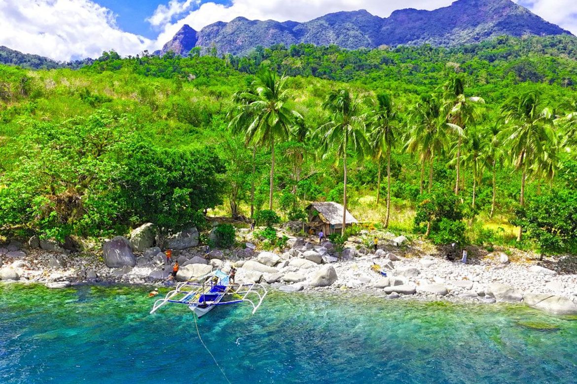 Land for Sale in Binga, San Vicente, Palawan – photo 4