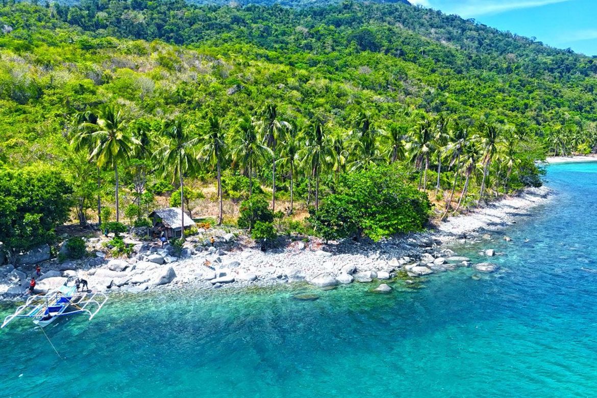 Land for Sale in Binga, San Vicente, Palawan – photo 5