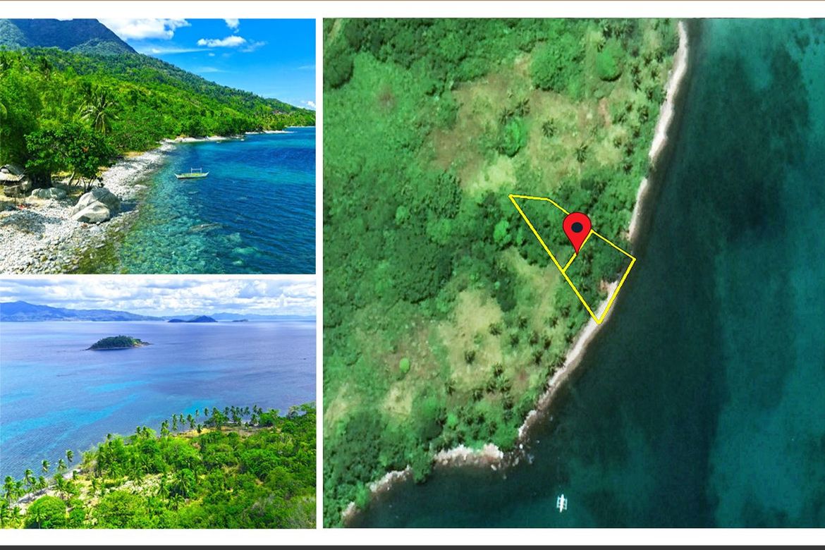 Land for Sale in Binga, San Vicente, Palawan