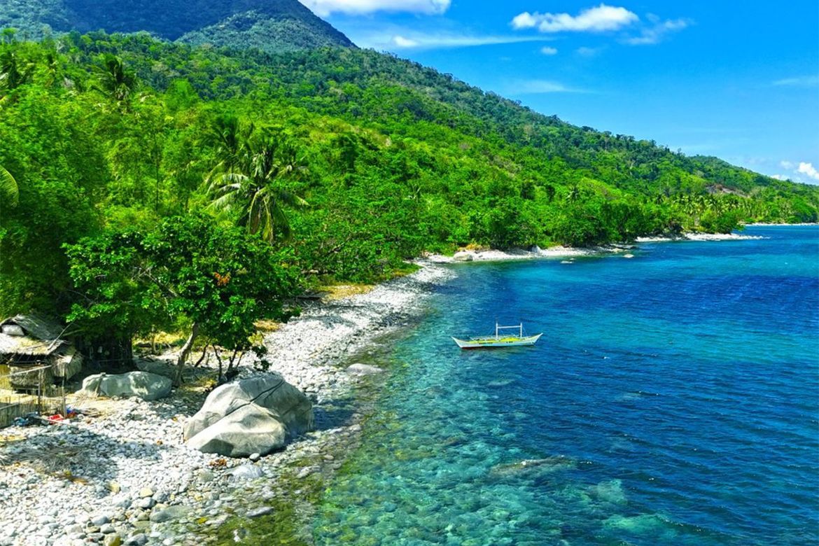 Land for Sale in Binga, San Vicente, Palawan – photo 2