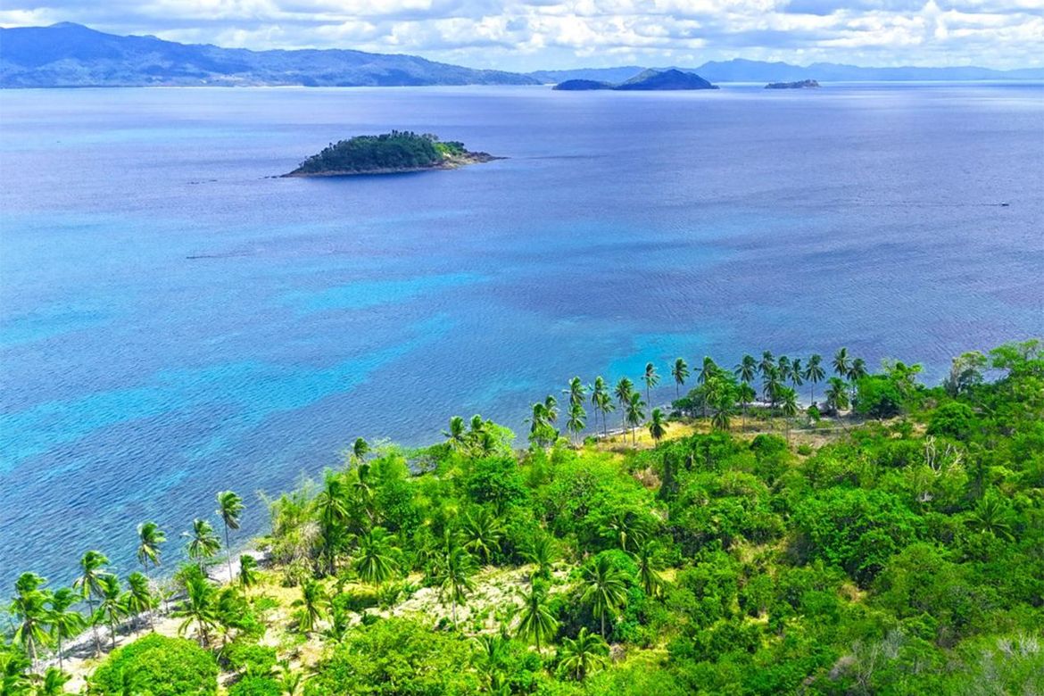 Land for Sale in Binga, San Vicente, Palawan – photo 3