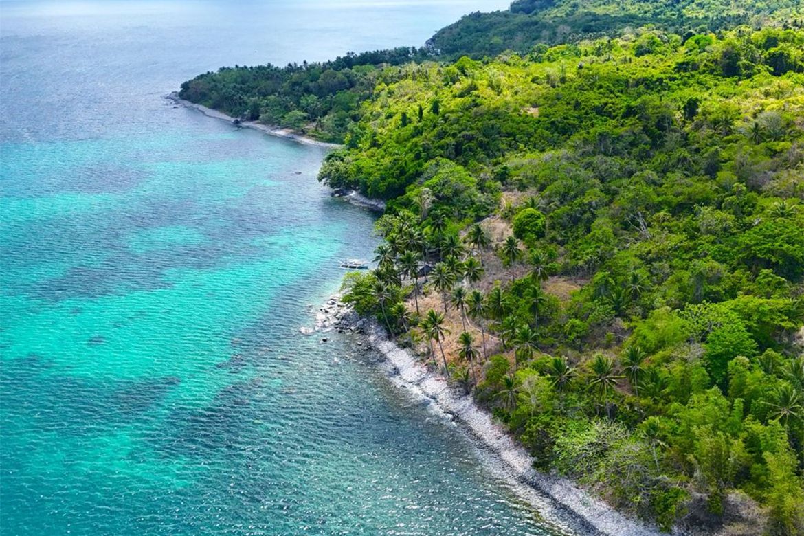 Land for Sale in Binga, San Vicente, Palawan – photo 5