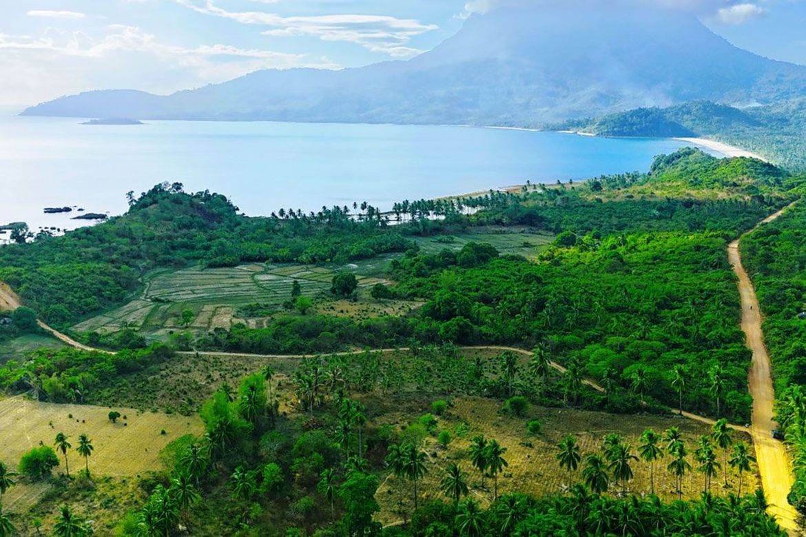 Land for Sale in Binga, San Vicente, Palawan – photo 5