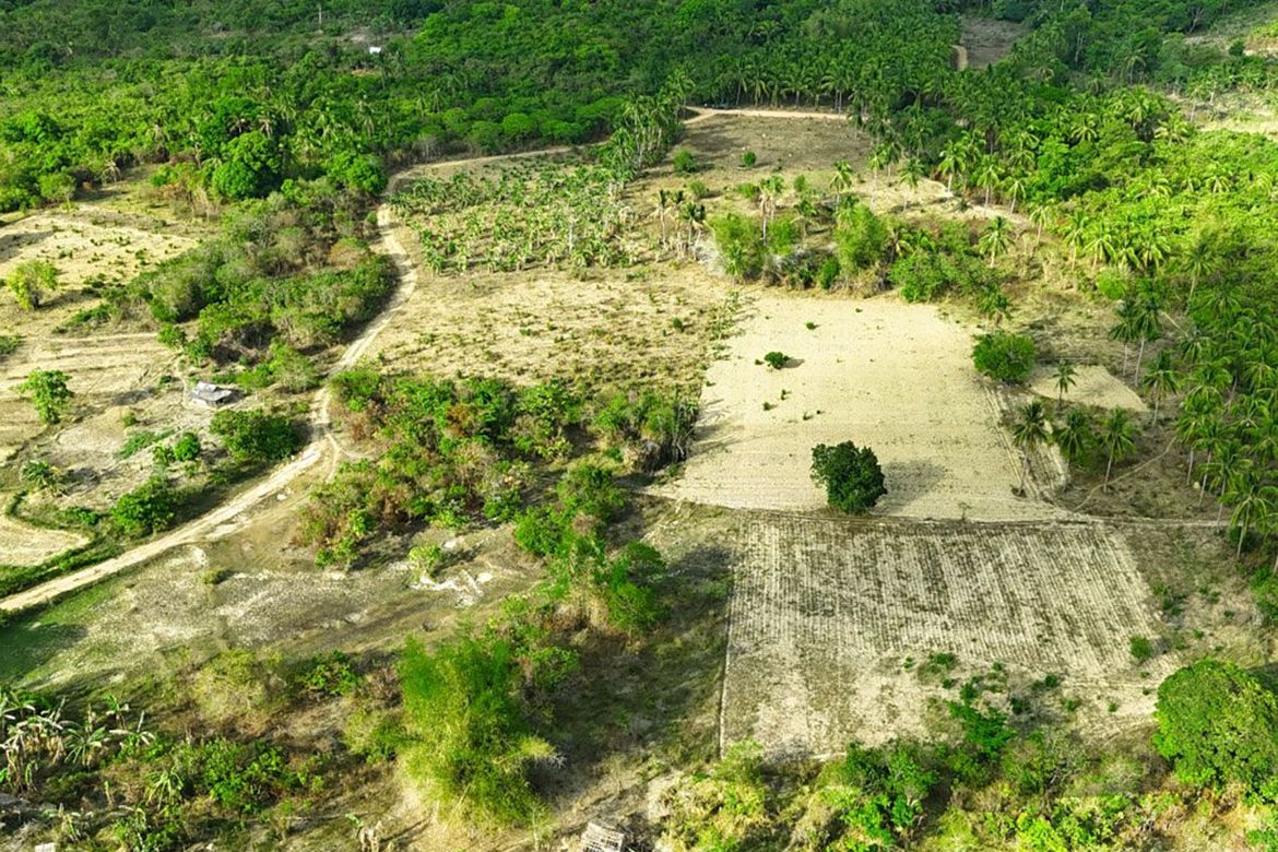 Land for Sale in Binga, San Vicente, Palawan – photo 6