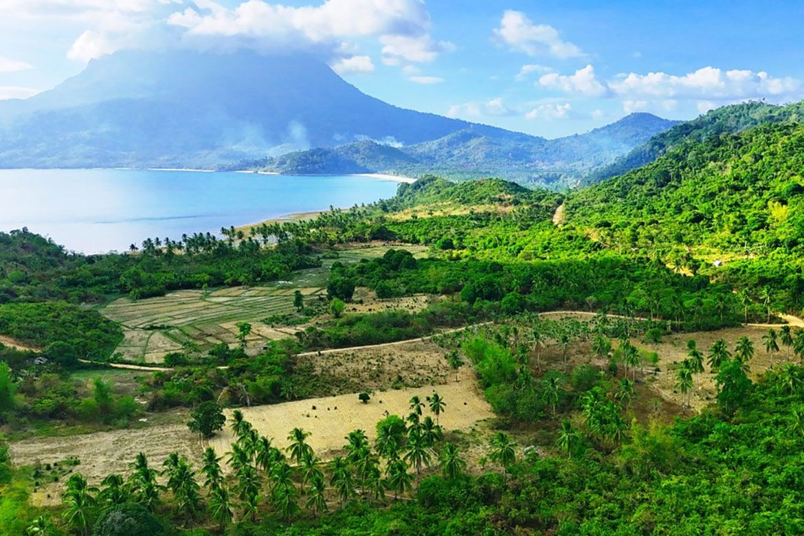 Land for Sale in Binga, San Vicente, Palawan – photo 7