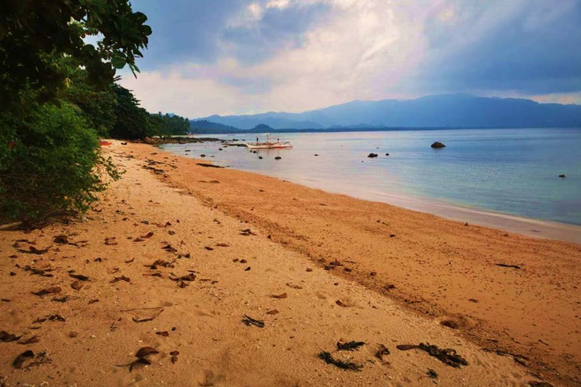Land for Sale in Binga, San Vicente, Palawan – photo 2