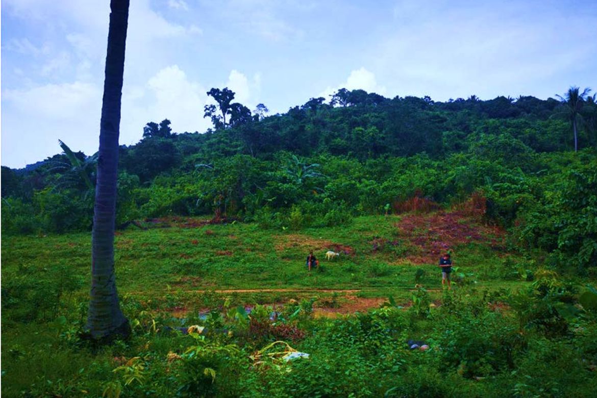 Land for Sale in Binga, San Vicente, Palawan – photo 4