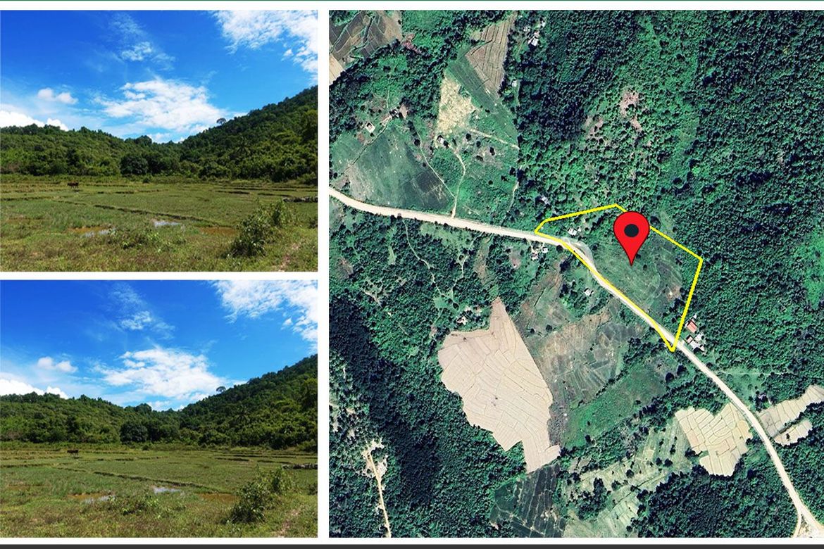 Land for Sale in Binga, San Vicente, Palawan