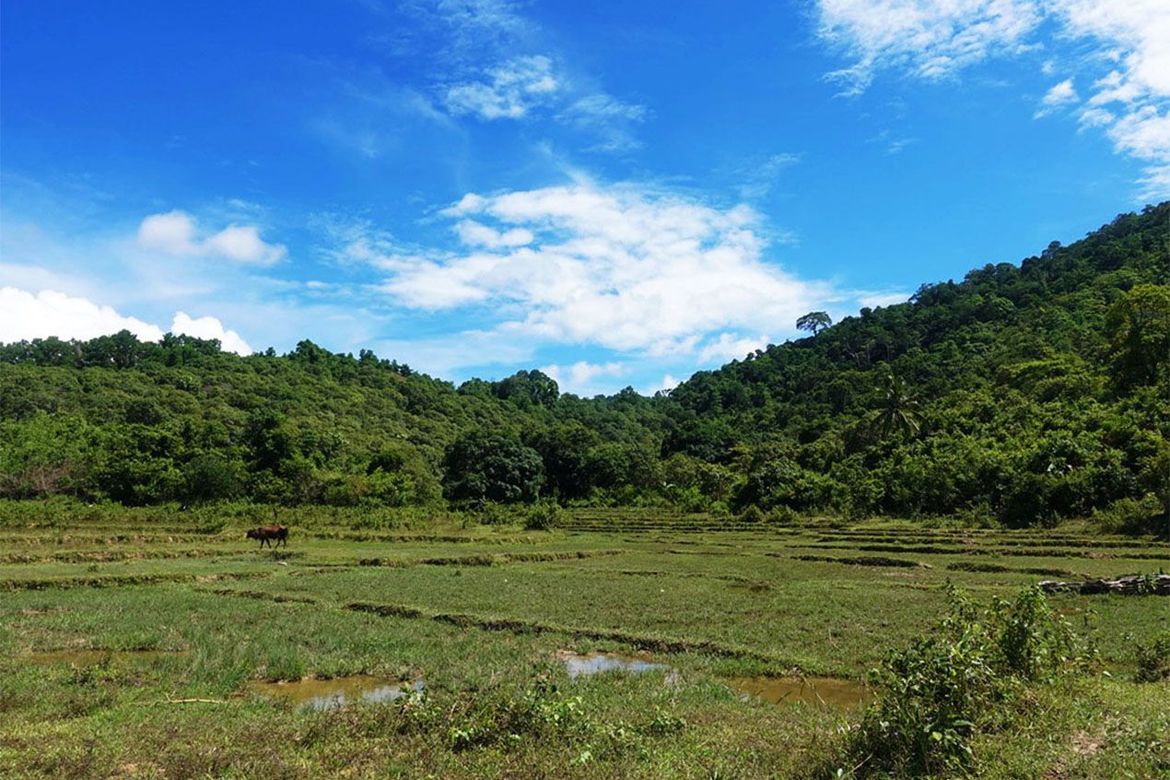 Land for Sale in Binga, San Vicente, Palawan – photo 2