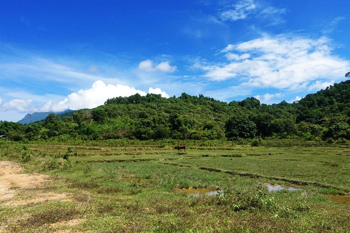 Land for Sale in Binga, San Vicente, Palawan – photo 3