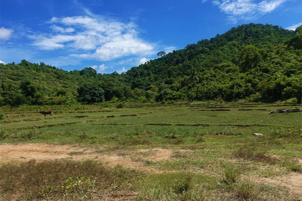 Land for Sale in Binga, San Vicente, Palawan – photo 4