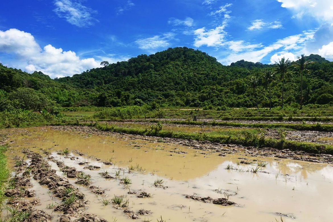 Land for Sale in Binga, San Vicente, Palawan – photo 7