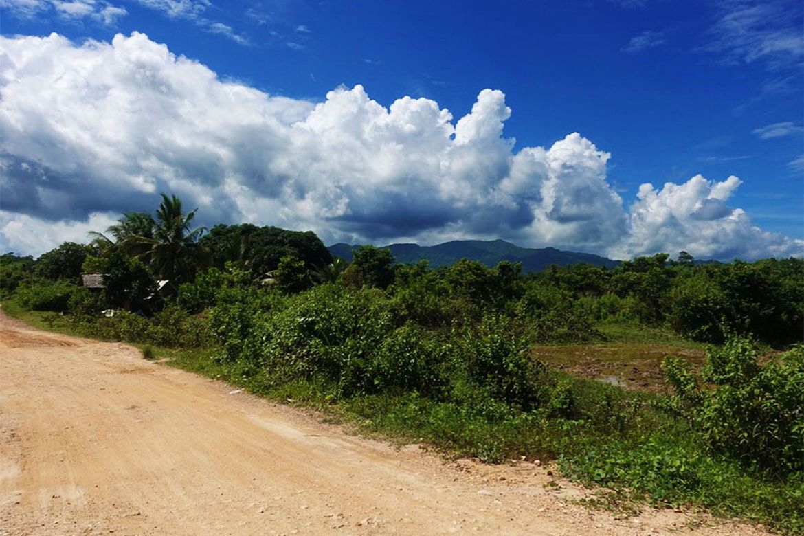 Land for Sale in Binga, San Vicente, Palawan – photo 8