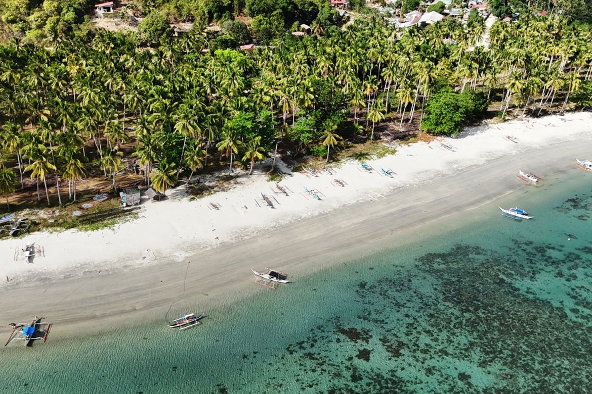 Land for Sale in Binga, San Vicente, Palawan – photo 2