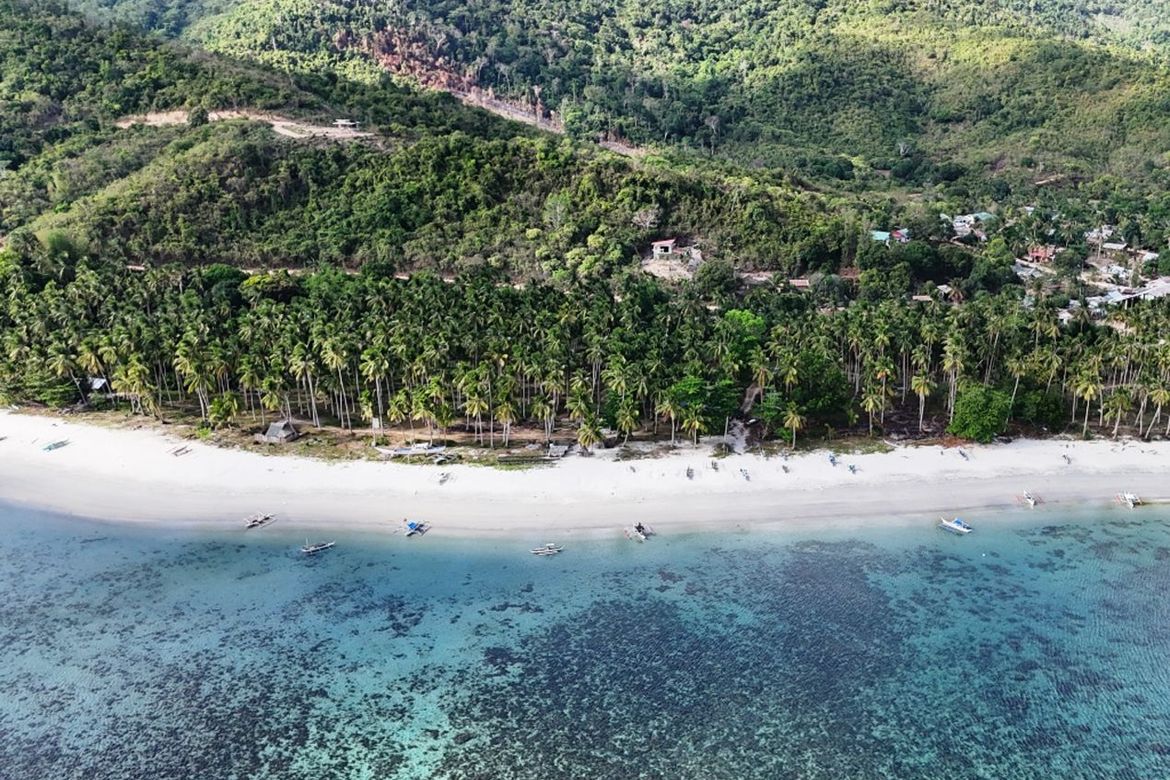 Land for Sale in Binga, San Vicente, Palawan – photo 3