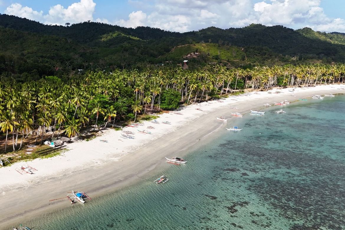 Land for Sale in Binga, San Vicente, Palawan – photo 4