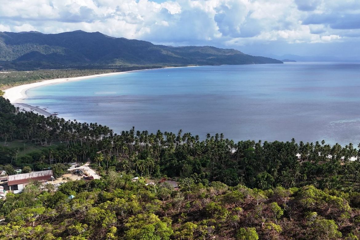 Land for Sale in Binga, San Vicente, Palawan – photo 5