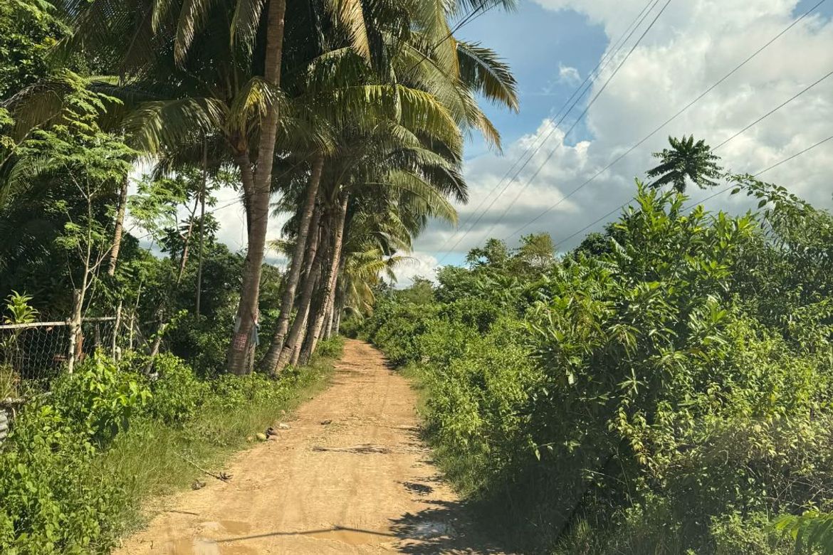 Land for Sale in Bingag, Dauis, Bohol – photo 2