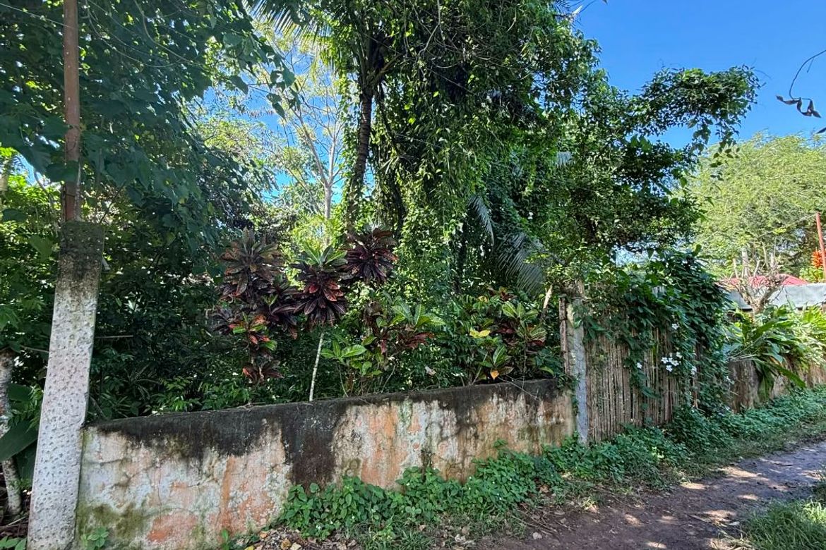 Land for Sale in Bingag, Dauis, Bohol – photo 4