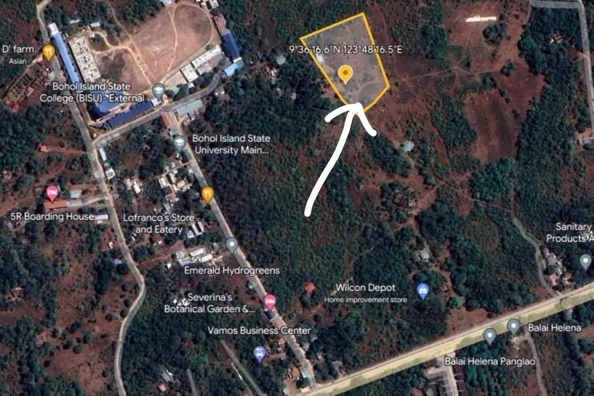 Land for Sale in Bingag, Dauis, Bohol