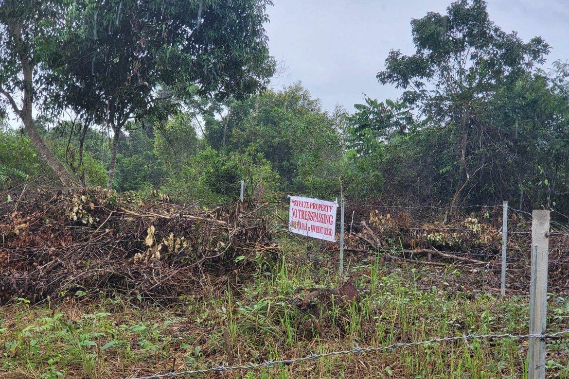Land for Sale in Bingag, Dauis, Bohol