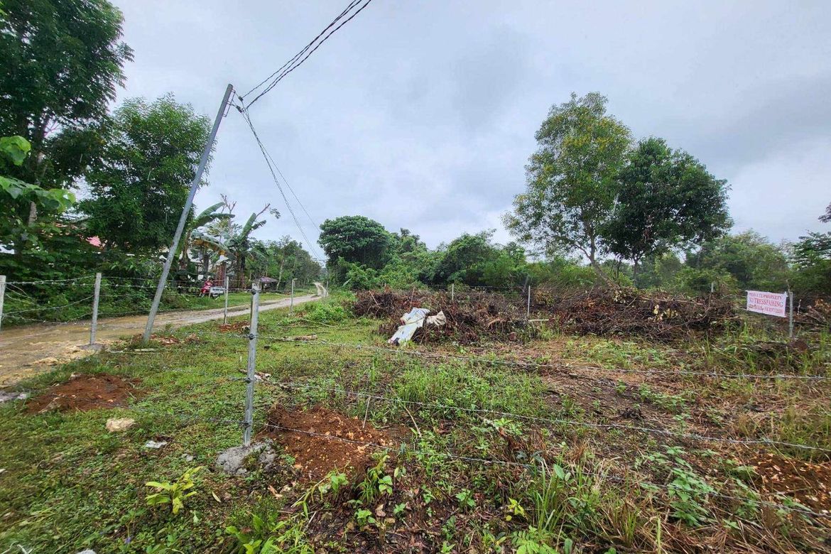 Land for Sale in Bingag, Dauis, Bohol – photo 2