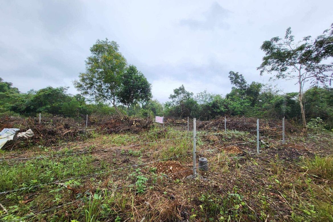 Land for Sale in Bingag, Dauis, Bohol – photo 3