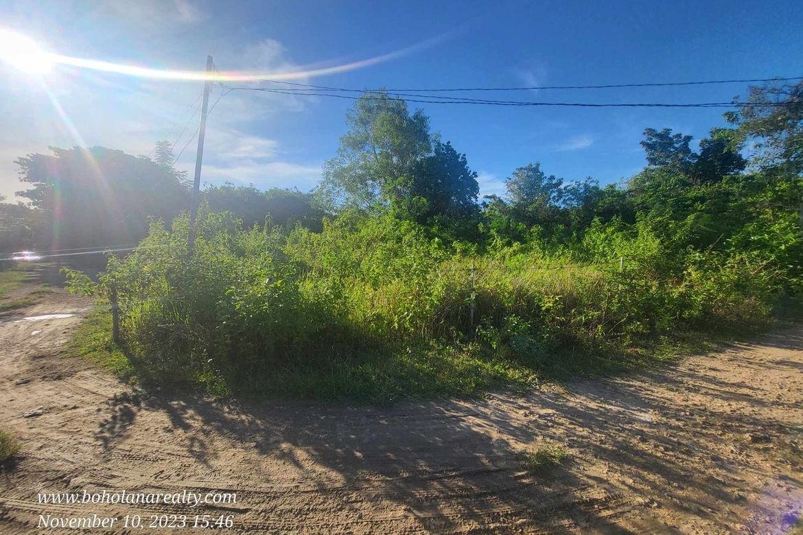 Land for Sale in Bingag, Dauis, Bohol – photo 4