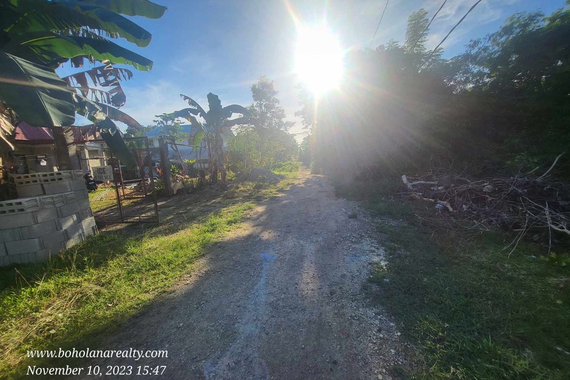 Land for Sale in Bingag, Dauis, Bohol – photo 5