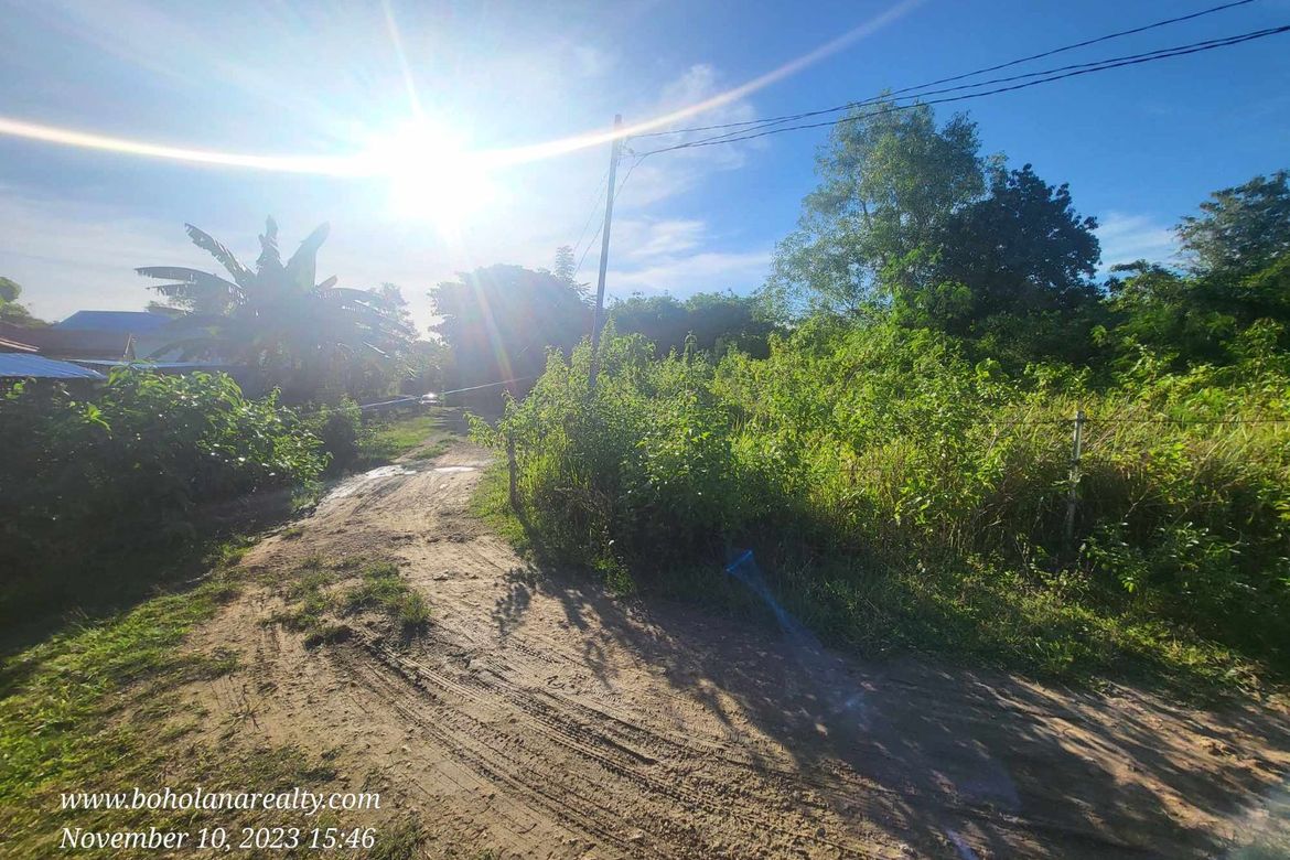 Land for Sale in Bingag, Dauis, Bohol – photo 6