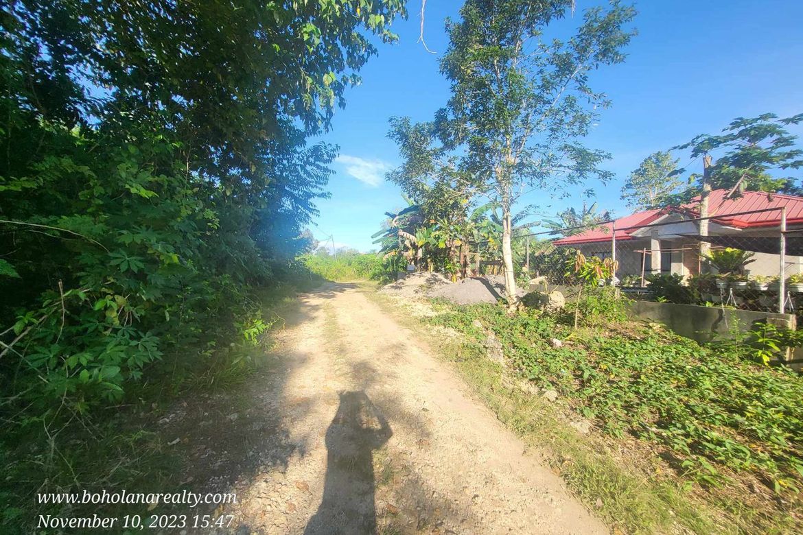 Land for Sale in Bingag, Dauis, Bohol – photo 7