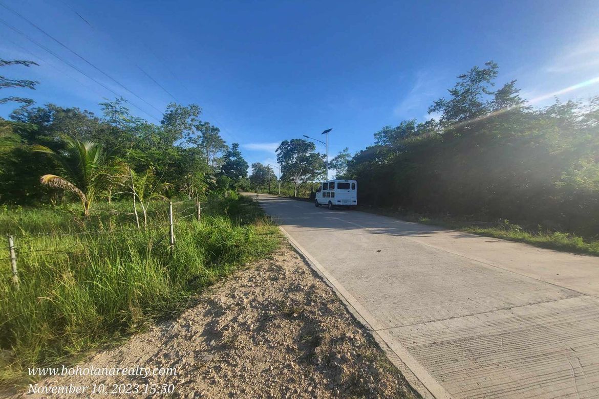 Land for Sale in Bingag, Dauis, Bohol – photo 8