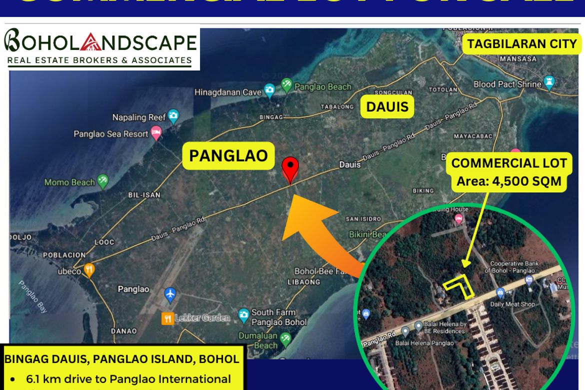 Land for Sale in Bingag, Dauis, Bohol