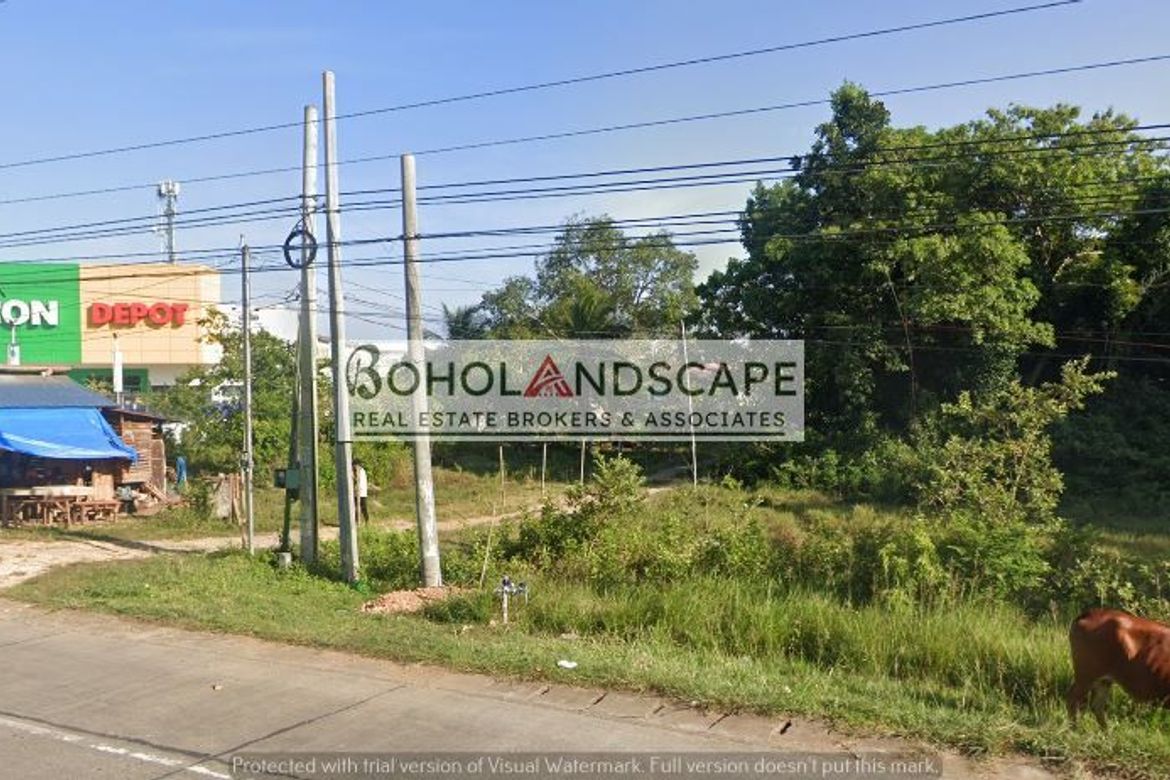 Land for Sale in Bingag, Dauis, Bohol – photo 6