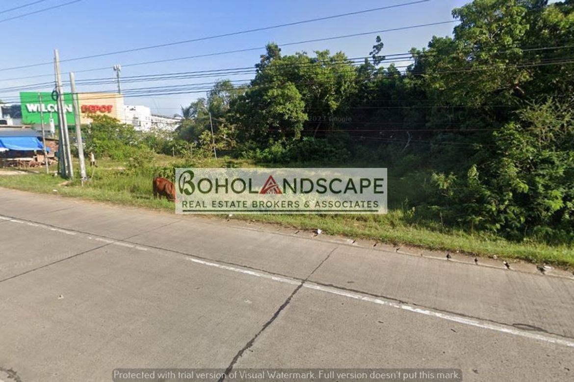 Land for Sale in Bingag, Dauis, Bohol – photo 8