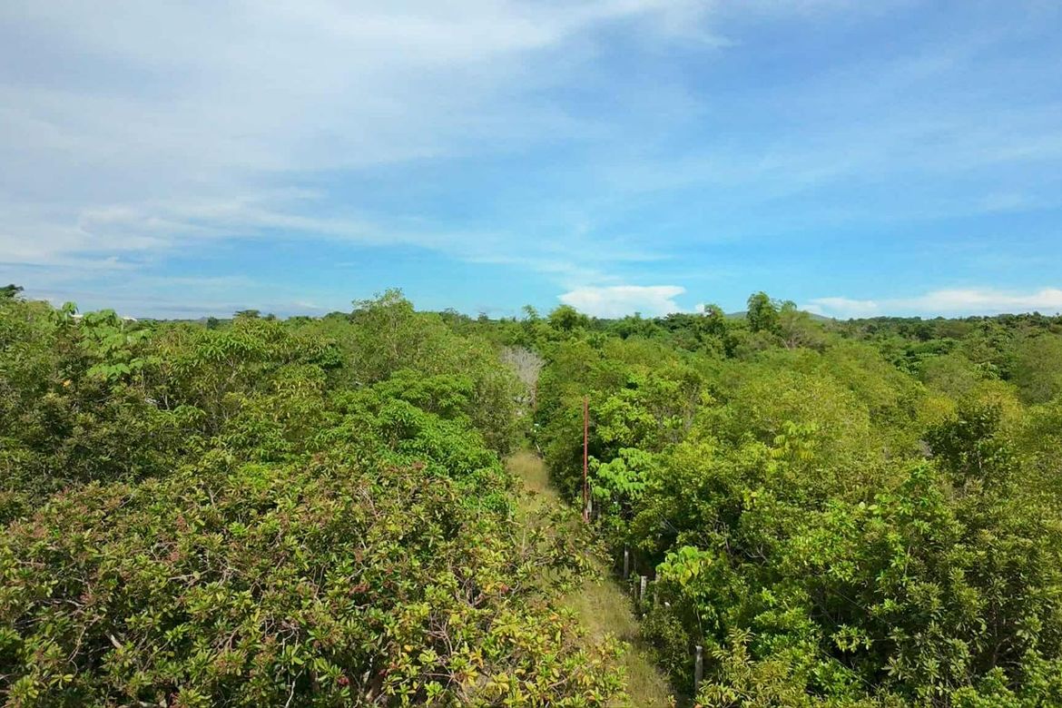Land for Sale in Bingag, Dauis, Bohol – photo 7