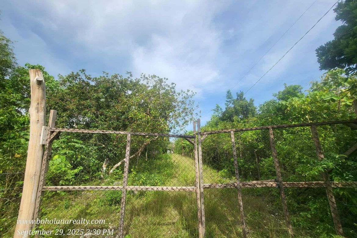 Land for Sale in Bingag, Dauis, Bohol – photo 8