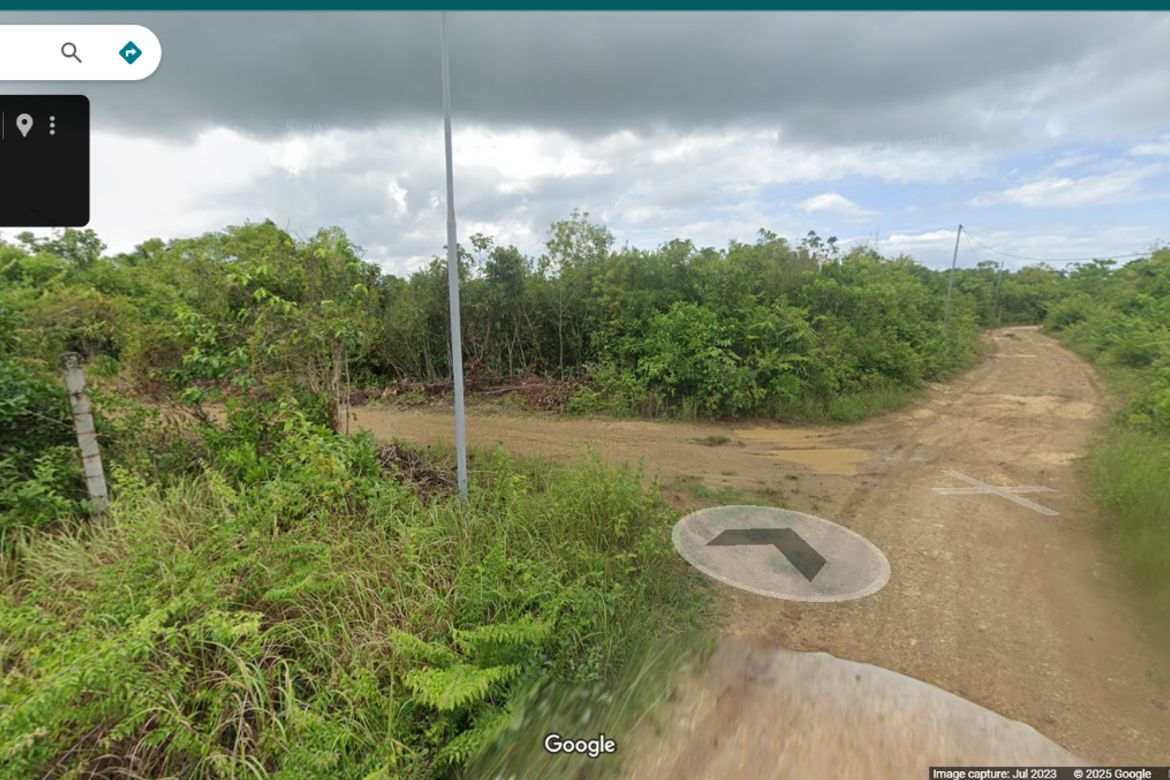Land for Sale in Bingag, Dauis, Bohol – photo 2