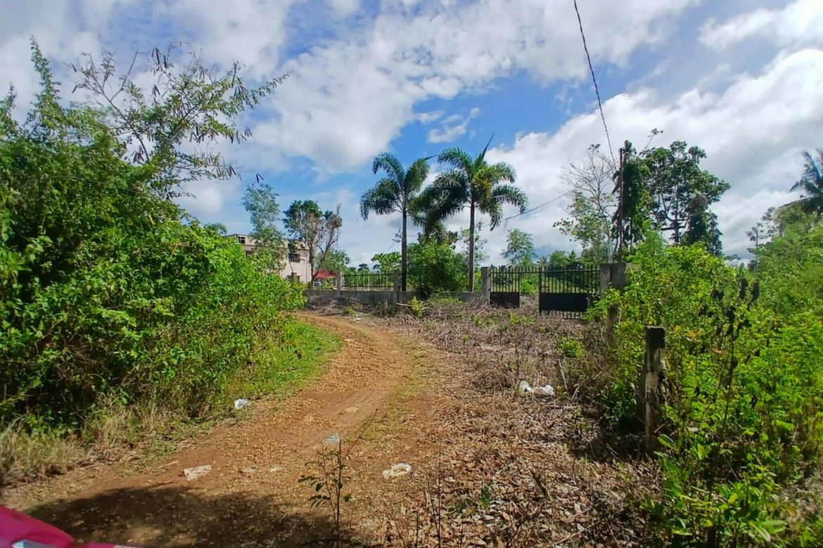 Land for Sale in Bingag, Dauis, Bohol – photo 4