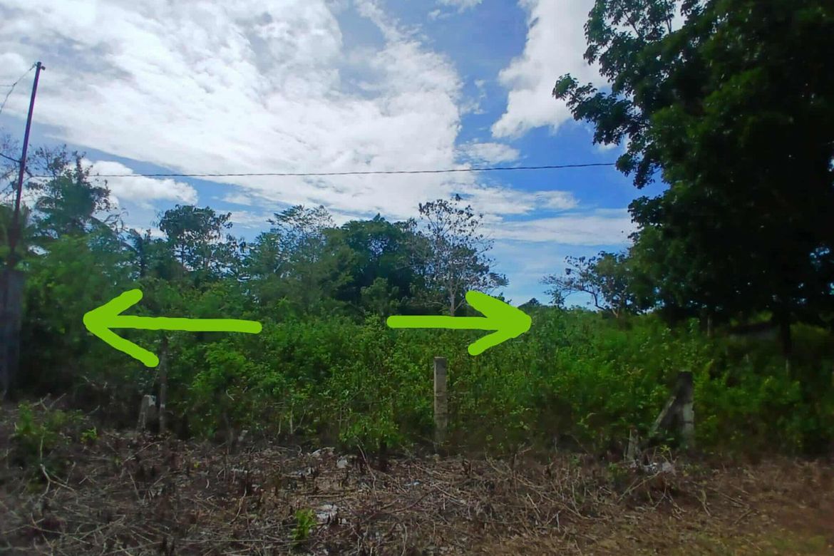 Land for Sale in Bingag, Dauis, Bohol – photo 5