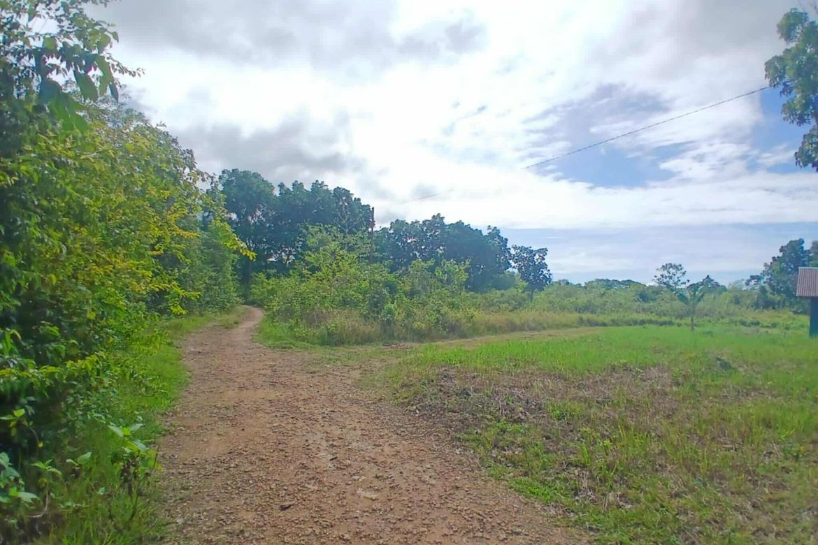 Land for Sale in Bingag, Dauis, Bohol – photo 6