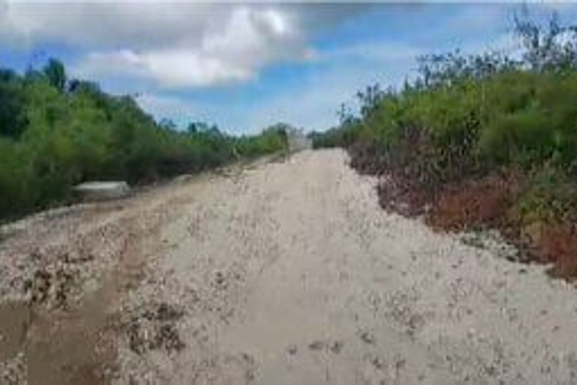 Land for Sale in Bingag, Dauis, Bohol – photo 8