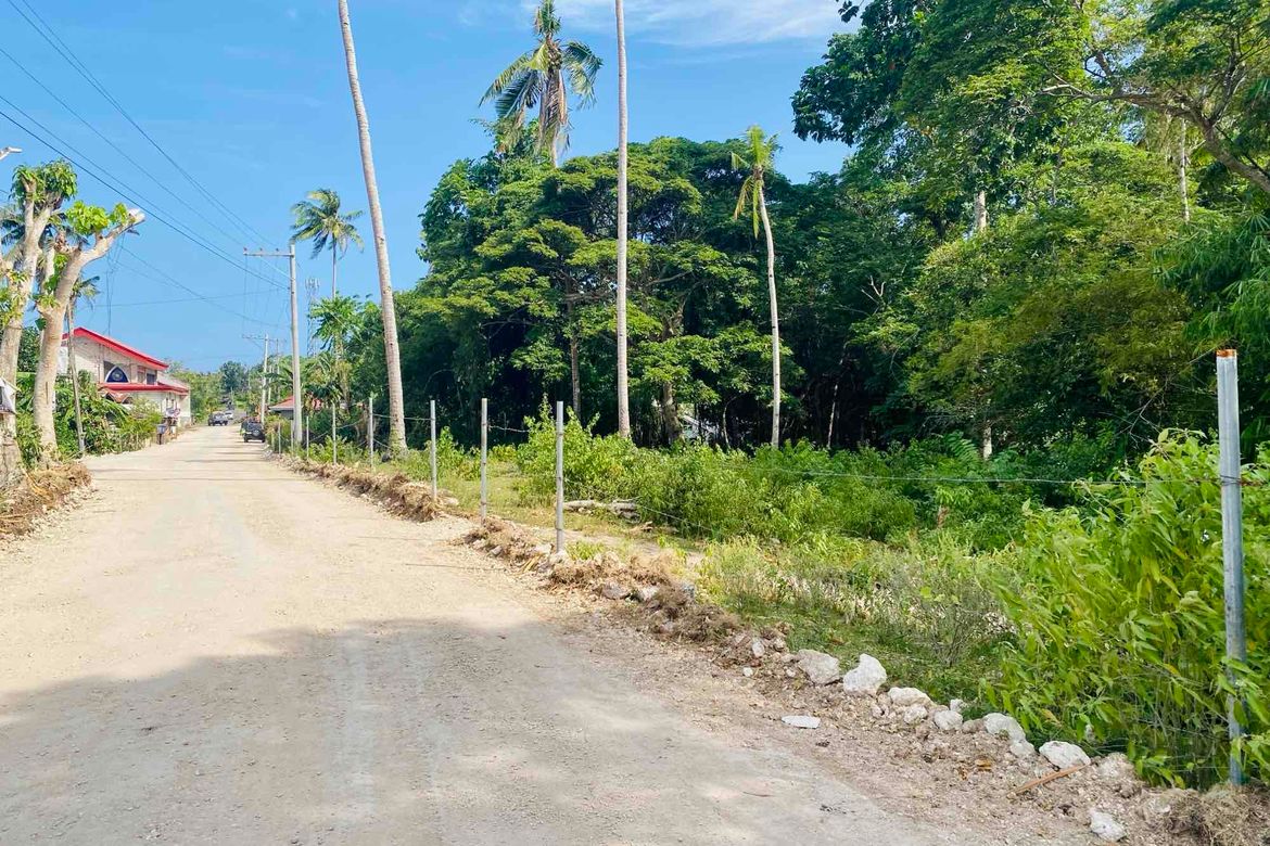 Land for Sale in Bingag, Dauis, Bohol